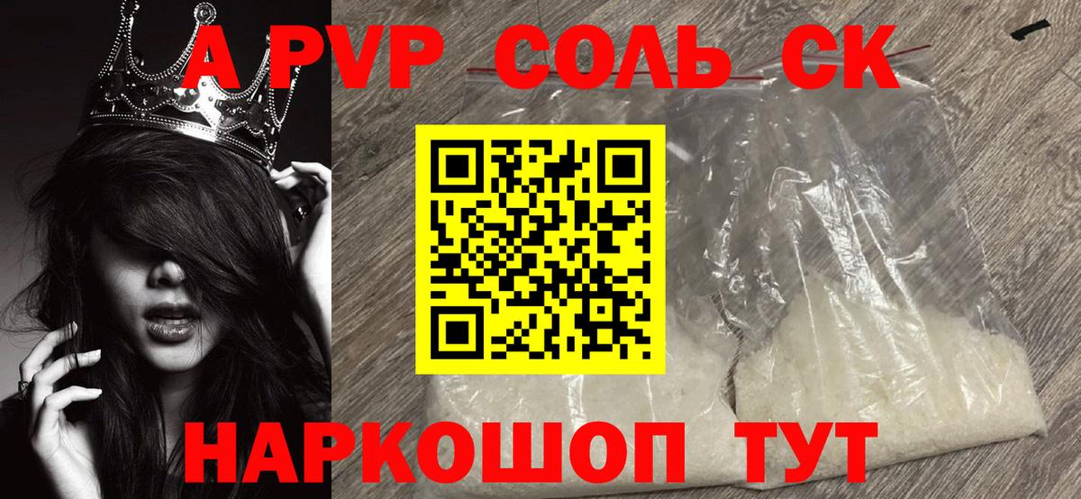 Альфа ПВП СК КРИС Туапсе