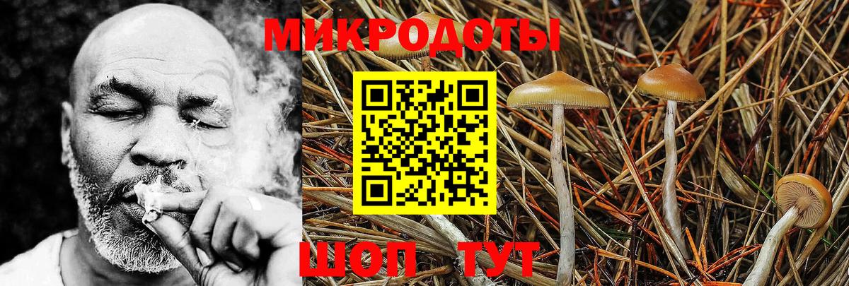 Галлюциногенные грибы прущие грибы  Вход с VPN  Туапсе 
